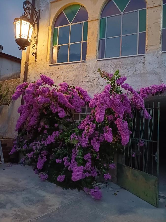Corte Averaldo San Felice del Benaco Dış mekan fotoğraf